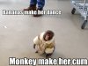 monkey roflbot.jpg